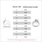 Pánský pás cudnosti Slave New