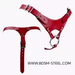 Uzamykatelný postroj vhodný pro klasické pásy cudnosti