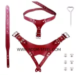 Uzamykatelný postroj vhodný pro klasické pásy cudnosti