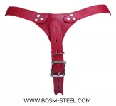 Uzamykatelný postroj vhodný pro klasické pásy cudnosti